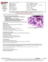 a report of histopathology